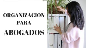Cómo Archivar Expedientes de Abogado como-archivar-expedientes-de-abogado